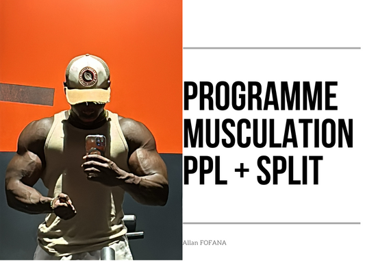 Programme musculation : PPL + SPLIT